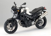 BMW F 800 R